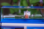 Karglow Unsinkable Boat